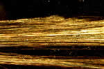brown-asbestos-amosite-150